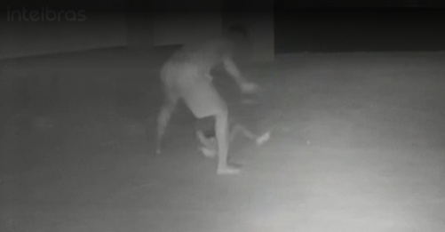 Pai é preso em flagrante por espancar menino de 5 anos no RJ