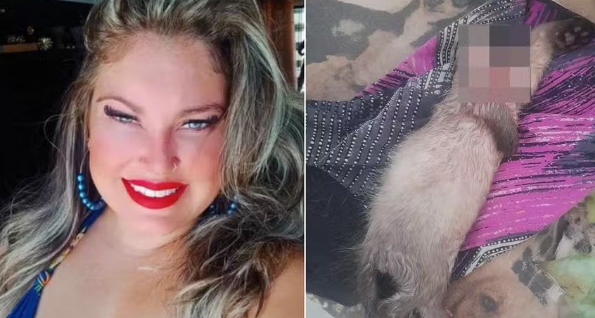 Veterinária mantinha gato morto sem cabeça em casa e carcaça de cachorro no carro, no DF