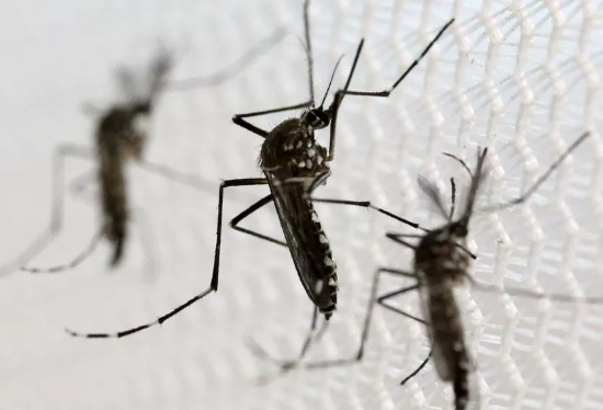Abril foi o mês com maior número de casos de dengue em MT desde o início do ano