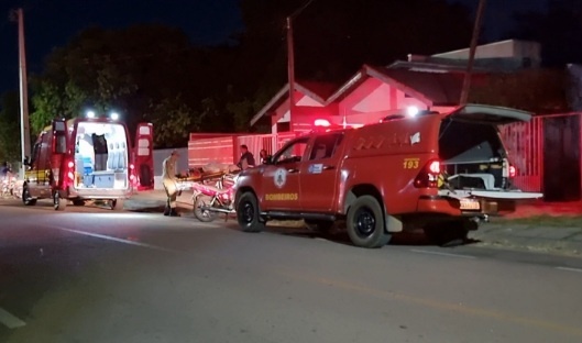 Sinop: Cães morrem após briga e tutora é hospitalizada