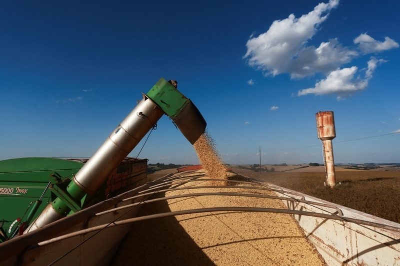China importa 5,9 milhões de toneladas de soja brasileira em abril, aumento de 11,7%