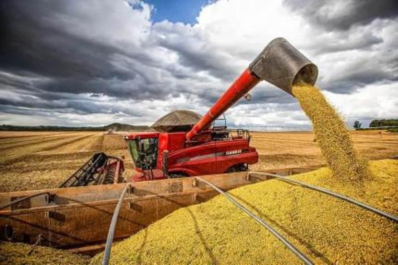 AL aprova corte de incentivos fiscais para empresas ligadas à moratória da soja