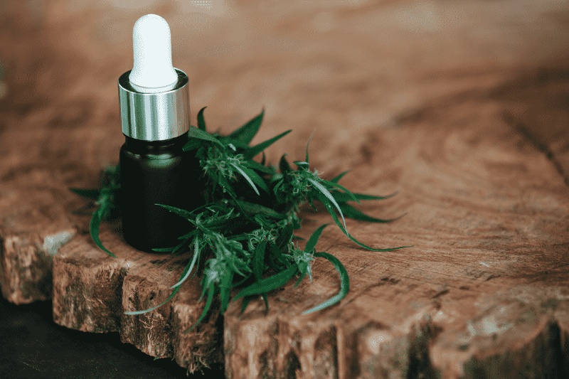 Nova resolução do CFM pode voltar a restringir o uso de medicamentos à base de cannabis