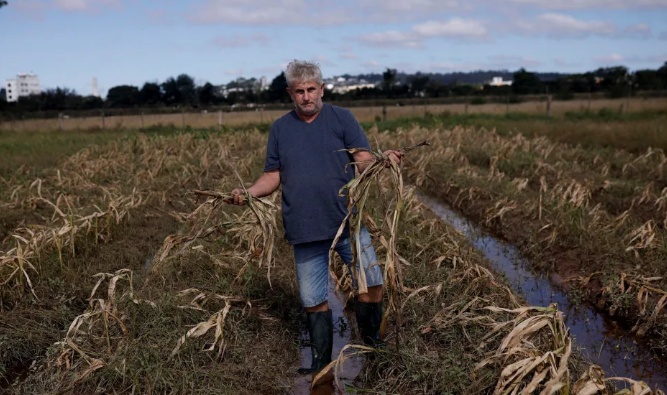 Agro do RS estima perdas de R$ 3 bi e uma década para recuperar produções inundadas