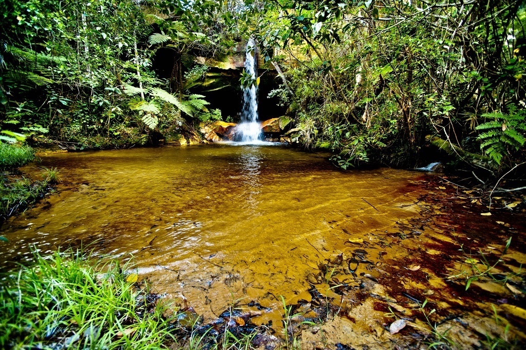Pesquisadores desenvolvem aplicativo para mapear nascentes do Cerrado