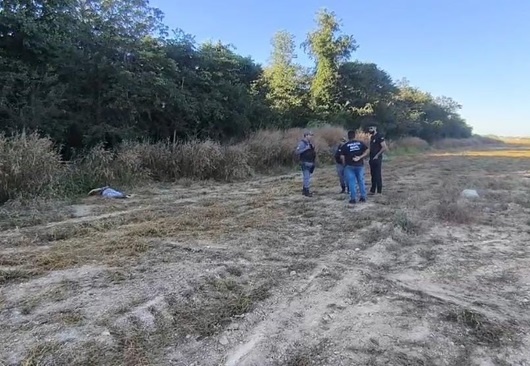 Homem é encontrado morto em região de mata em Sinop