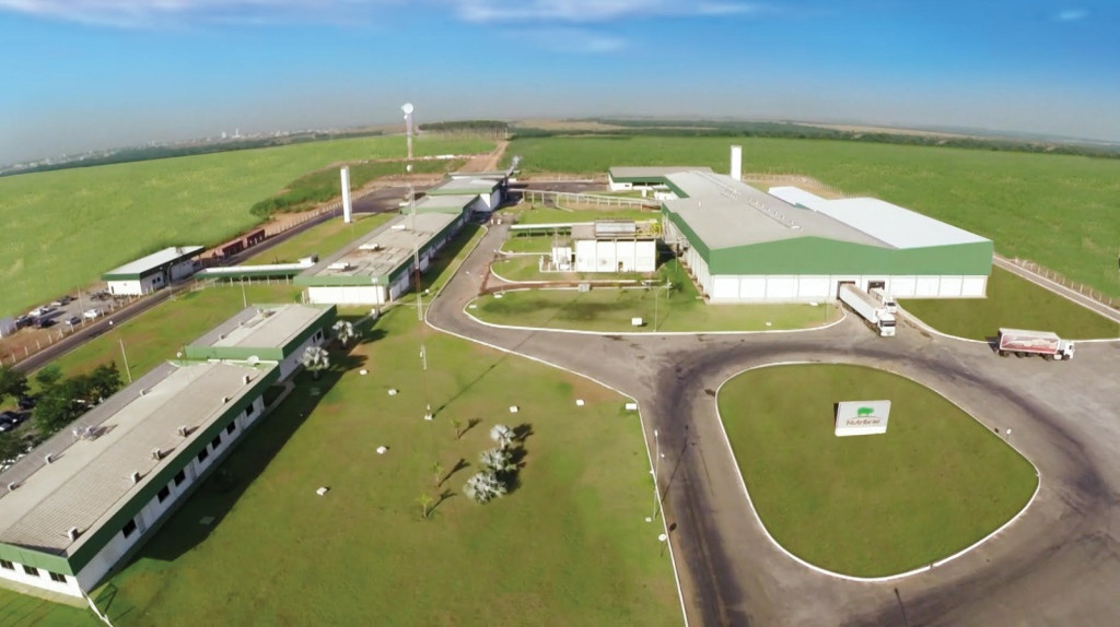 Indústria aposta em modelo autossustentável na cadeia da suinocultura em MT