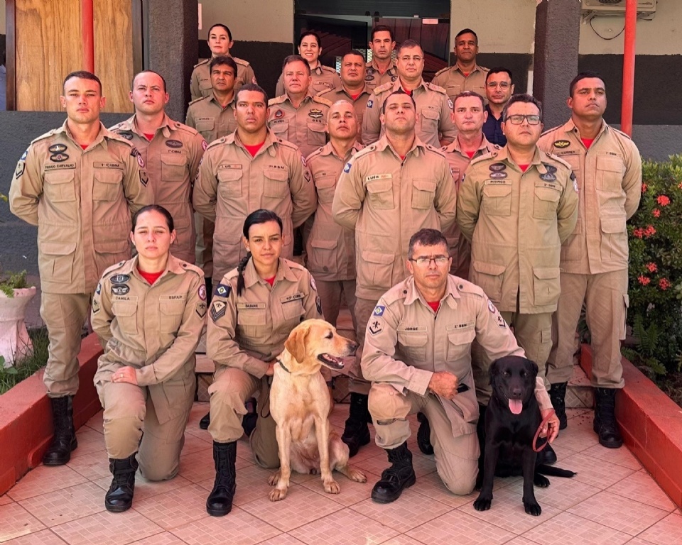 Grupo de 11 bombeiros de MT retorna do RS após resgate de 44 pessoas e 16 animais