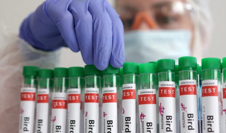 OMS confirma primeiro caso de vírus A(H5N2) da gripe aviária em humano; paciente morreu