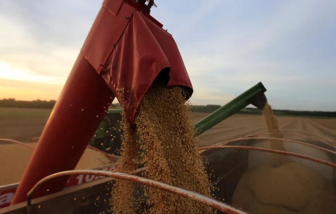 Custo da MP do PIS/Cofins reduzirá em 4% preço da soja ao produtor, diz Abiove