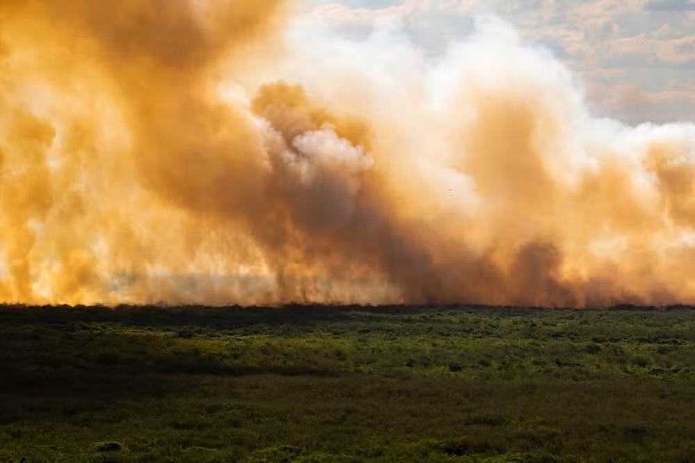 Incêndios disparam mais de 1000% e bacia do rio Paraguai tem seca recorde