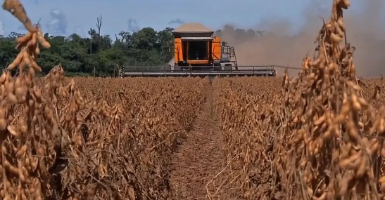 Medida que propõe limitar uso de crédito de PIS/Cofins pode causar prejuízos bilionários ao agro de MT, apontam senador e associação