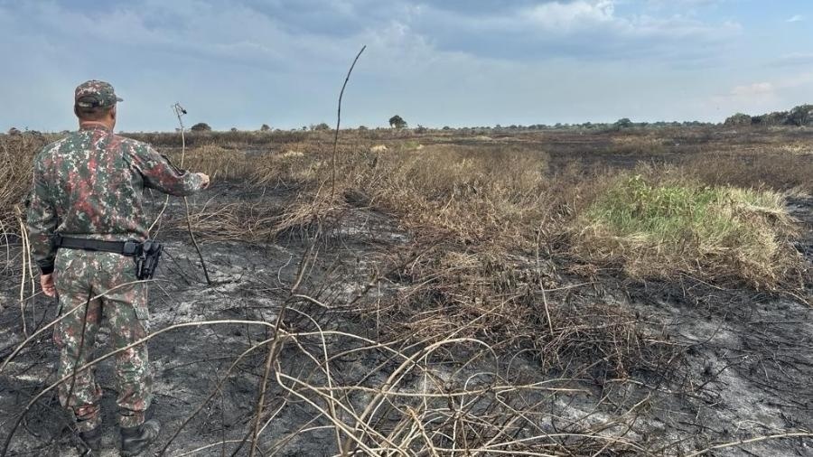 Focos de incêndio explodem no Pantanal e Cerrado e têm maior nº desde 1998