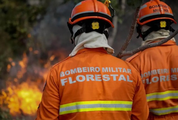 Mato Grosso registra 74 focos de calor, diz INPE