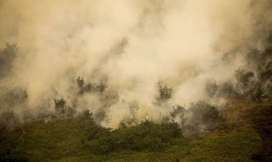 Governo Federal vai liberar R$ 100 milhões para combate a incêndios no Pantanal