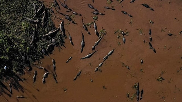 Pantanal poderá ter crise hídrica histórica em 2024, aponta estudo