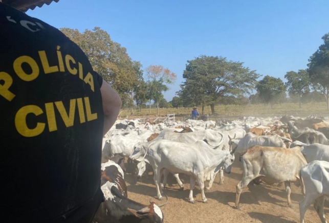 Família de MT que aplicou golpes de compra de gado em fazendeiros de Goiás é presa pela PC