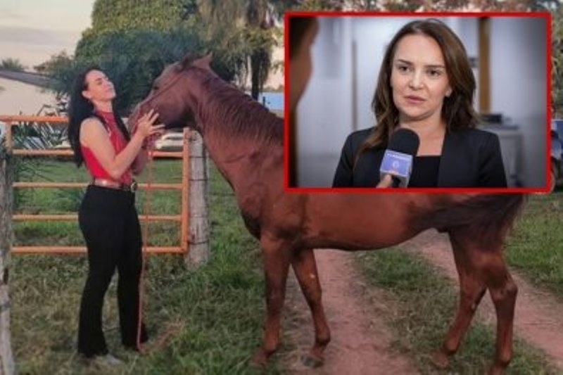 Delegada-geral diz que a PC já tem indícios de quem seria assassino de Raquel Cattani