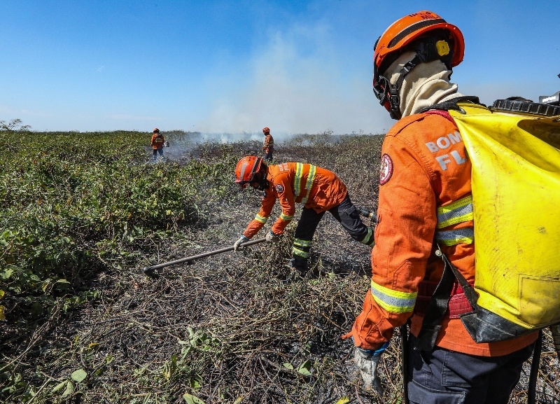 Prazo de inscrição para brigadistas temporários encerra nesta sexta