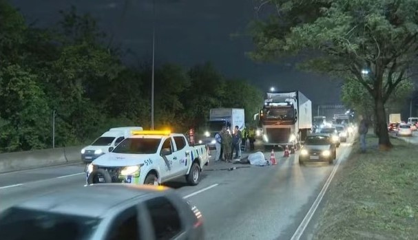 Avaliada em R$ 1 milhão, égua do Exército foge e morre atropelada por uma carreta em avenida