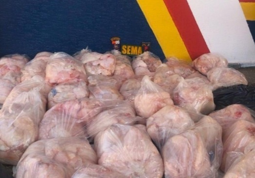 Dupla é multada em R$ 294 mil por caça de mais de 500 kg de carne de jacaré