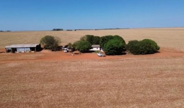 Justiça nega 'intrusão' de associação e mantém leilão de fazenda em MT