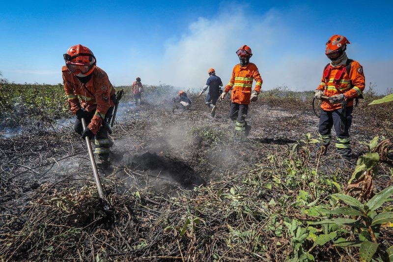 Corpo de Bombeiros convoca aprovados no processo seletivo para brigadistas; lista