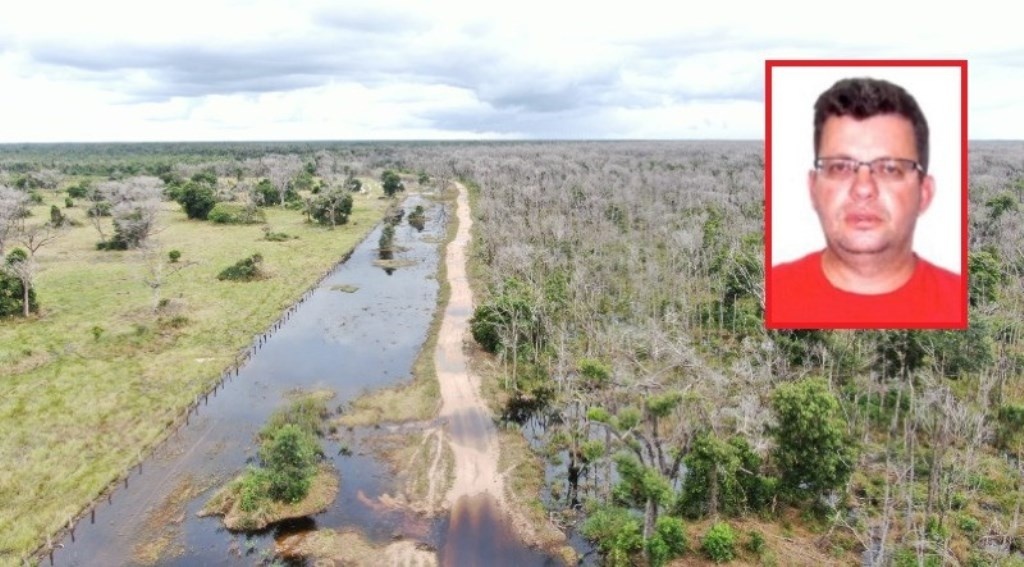 Juiz autoriza venda de gado de fazendeiro que desmatou o Pantanal