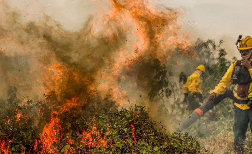 MT lidera focos de queimadas no Brasil em meio a onda de calor