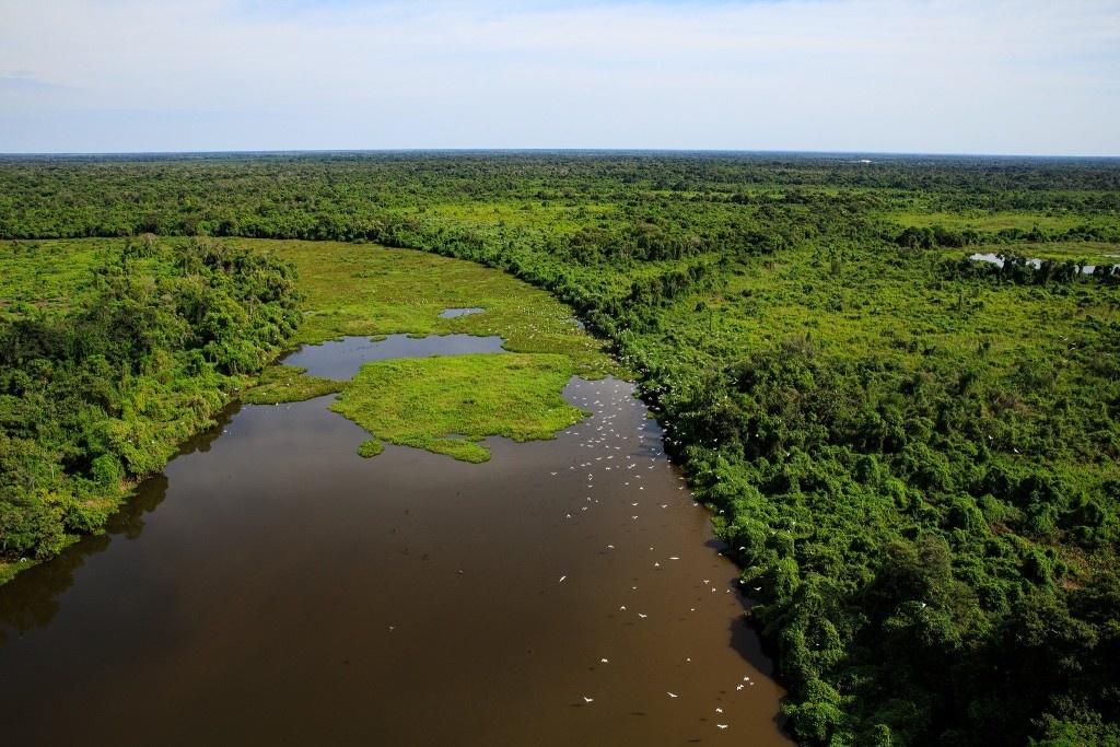 Brasil já perdeu 33% das áreas naturais de seu território