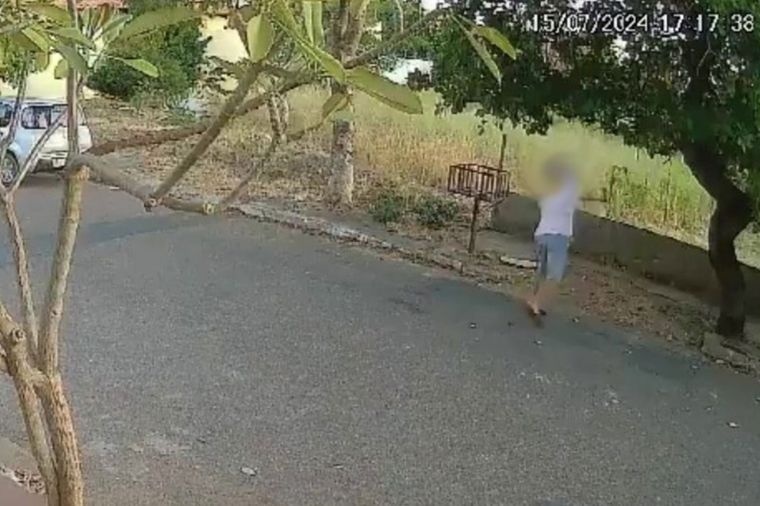 MP denuncia professor por morte de gata em bairro nobre de Cuiabá e pede indenização de R$ 300 mil