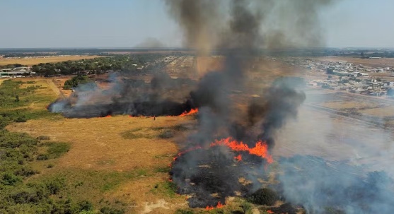 Incêndio atinge área com mais de 120 mil metros quadrados próxima de condomínio em Sinop