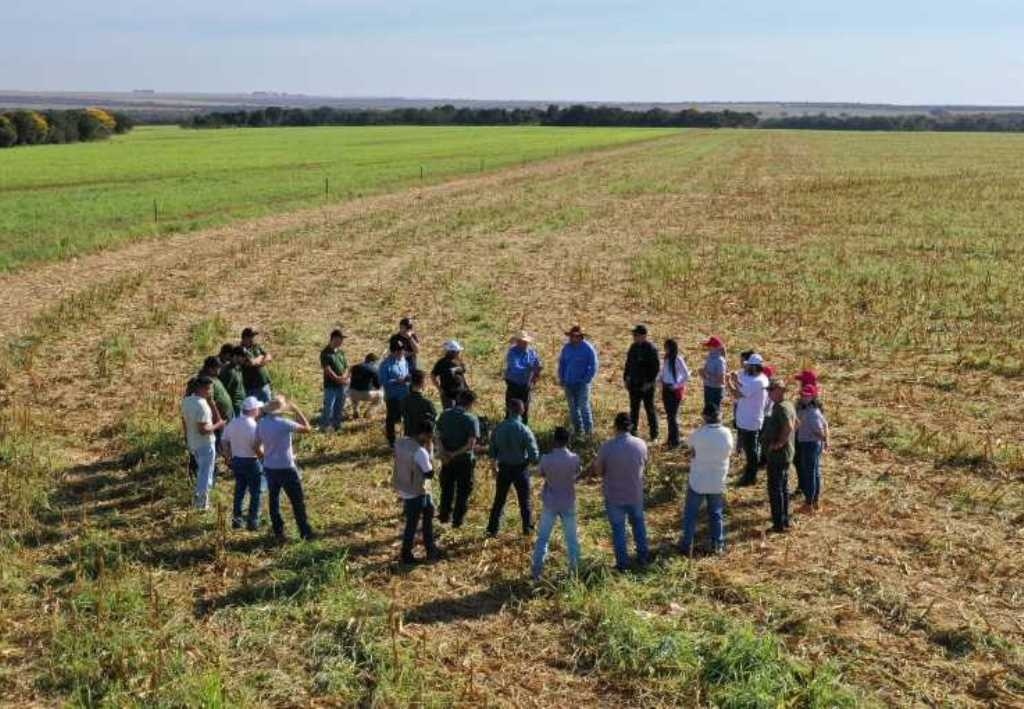 Diversidade de sistemas de integração marcará a Caravana ILPF em MT