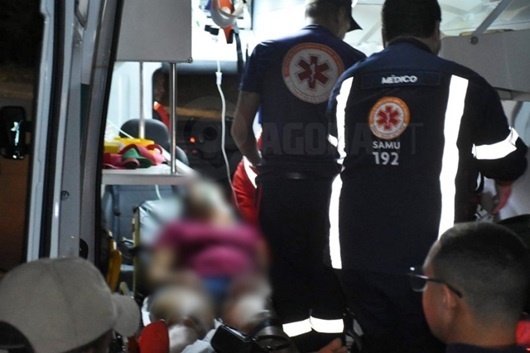 Mulher é atacada por enxame de abelhas em sítio às margens de rodovia