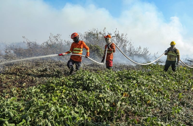 Mato Grosso tem aumento de 235% nos registros de incêndio em uma semana; dois mil focos em 24hs