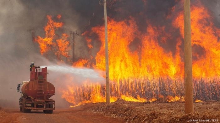 Prejuízo causado pelas queimadas em SP deve passar de R$ 1 bilhão