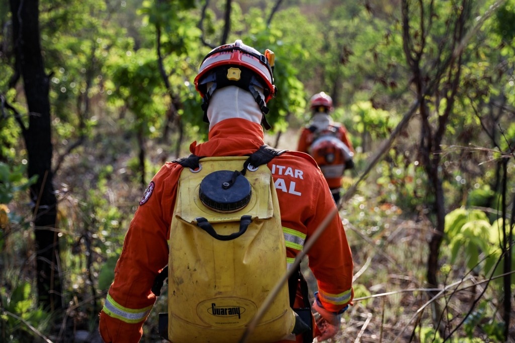Propriedades privadas concentram 62% dos focos de calor em MT
