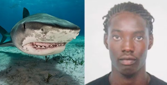 Suposto ataque de tubarão termina com adolescente decapitado em praia da Jamaica