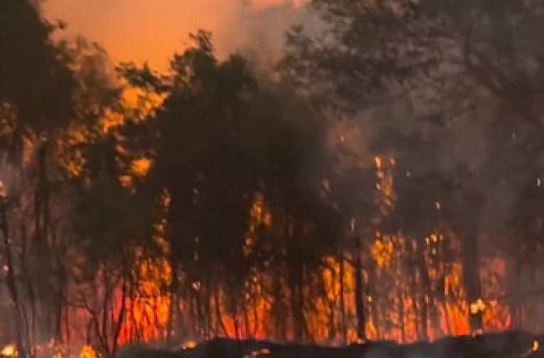 Incêndio atinge Parque Florestal em Sinop e bombeiros fazem combate