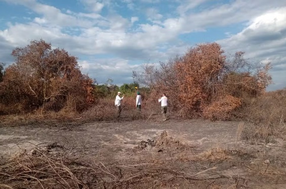Fazendeiro é multado em R$ 50 milhões por queimar área do Pantanal que equivale a 10,5 mil campos de futebol