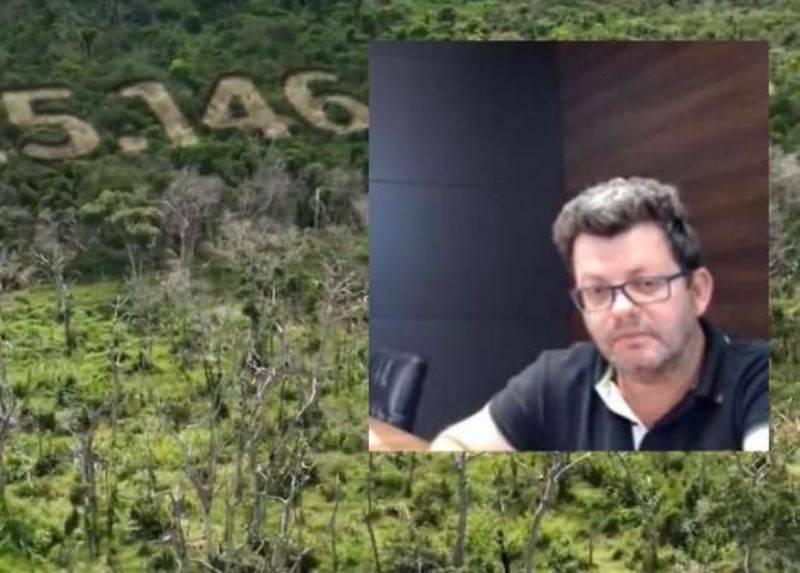Pecuarista que desmatou Pantanal: juiz reconhece prescrição de crime ambiental