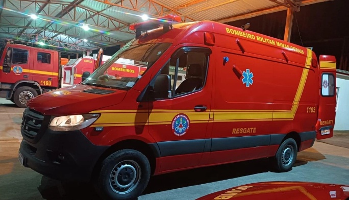 Família é atacada por abelhas durante passeio em rio e adolescente morre