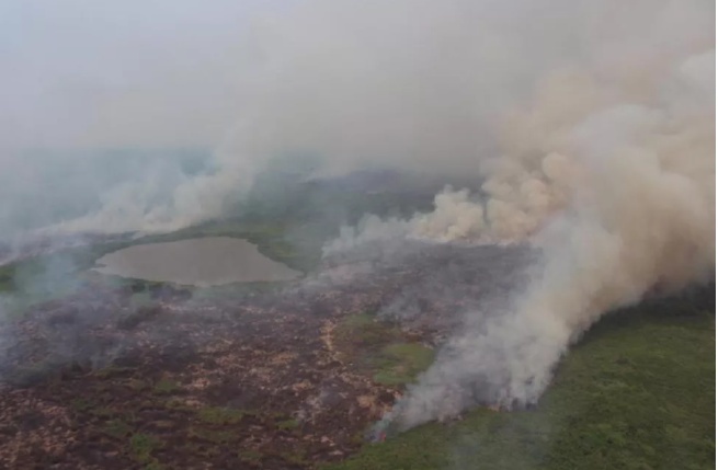 União reconhece situação de emergência em 58 municípios de MT por causa de incêndios: veja lista