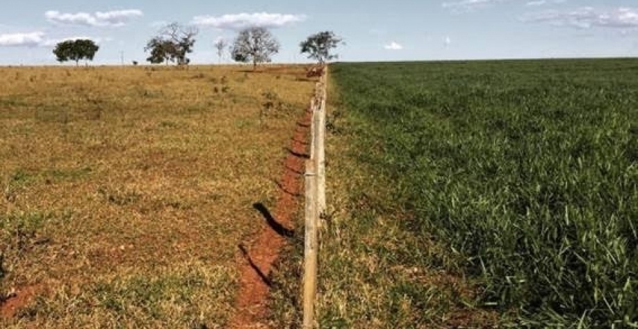 Estiagem atrasa plantio e pressiona diversos setores do agronegócio brasileiro