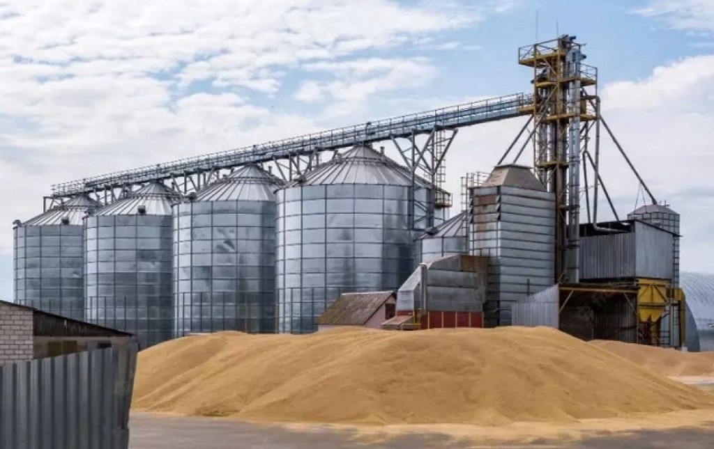 Produção agrícola brasileira bate recorde, mas valor cai 2,3%