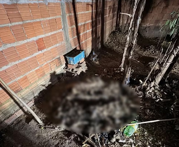 Mulher morre ao ser enterrada viva por namorado que convivia há 1 mês em MT