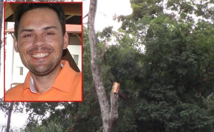 Empresário morre após cair de árvore durante poda em Sorriso