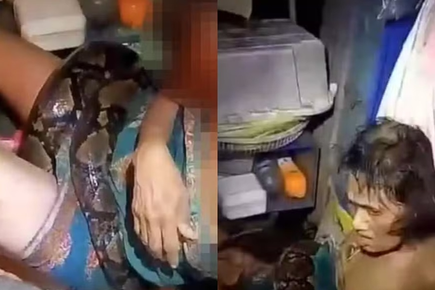 Mulher é resgatada após ficar duas horas enrolada por cobra píton, na Tailândia
