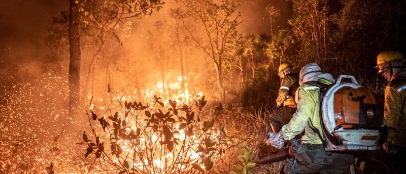 Monitoramento mostra que 99% dos incêndios são por ação humana