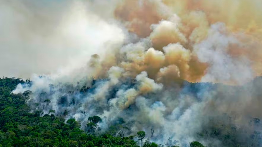 Amazon e outras cinco empresas vão comprar US$ 180 mi em créditos de carbono da Amazônia